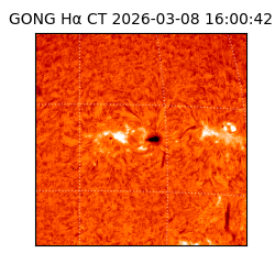 gong - 2026-03-08T16:00:42