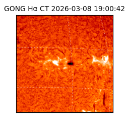 gong - 2026-03-08T19:00:42