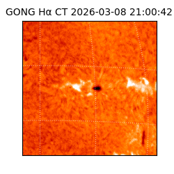 gong - 2026-03-08T21:00:42