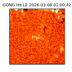 gong - 2026-03-08T01:00:42