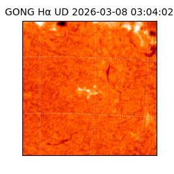 gong - 2026-03-08T03:04:02