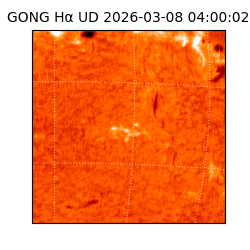 gong - 2026-03-08T04:00:02