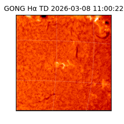 gong - 2026-03-08T11:00:22