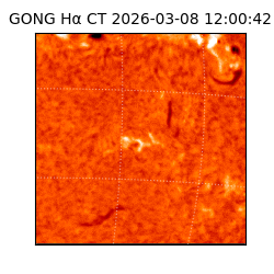 gong - 2026-03-08T12:00:42