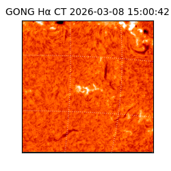 gong - 2026-03-08T15:00:42