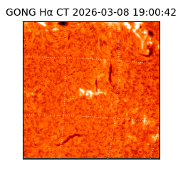 gong - 2026-03-08T19:00:42