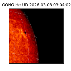 gong - 2026-03-08T03:04:02