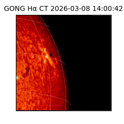 gong - 2026-03-08T14:00:42