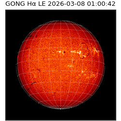 gong - 2026-03-08T01:00:42