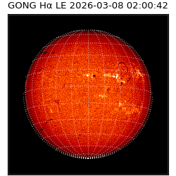gong - 2026-03-08T02:00:42