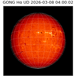gong - 2026-03-08T04:00:02