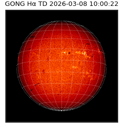 gong - 2026-03-08T10:00:22
