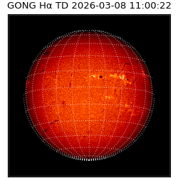 gong - 2026-03-08T11:00:22