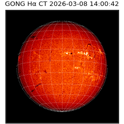 gong - 2026-03-08T14:00:42