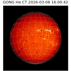 gong - 2026-03-08T16:00:42