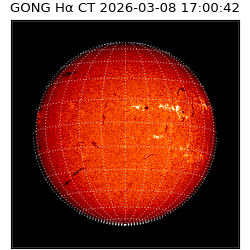 gong - 2026-03-08T17:00:42