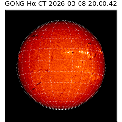 gong - 2026-03-08T20:00:42