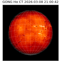 gong - 2026-03-08T21:00:42