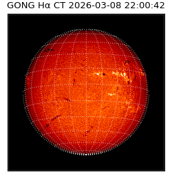 gong - 2026-03-08T22:00:42