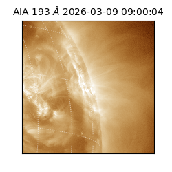 saia - 2026-03-09T09:00:04.840000