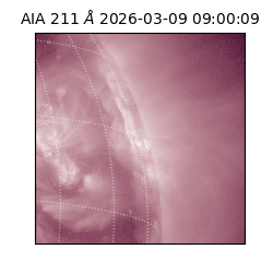 saia - 2026-03-09T09:00:09.620000