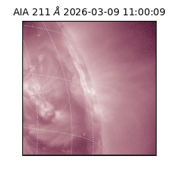 saia - 2026-03-09T11:00:09.640000