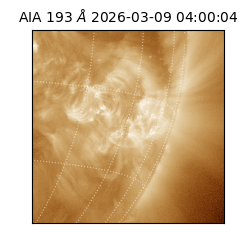 saia - 2026-03-09T04:00:04.840000
