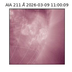 saia - 2026-03-09T11:00:09.640000
