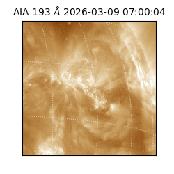 saia - 2026-03-09T07:00:04.840000