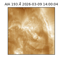 saia - 2026-03-09T14:00:04.840000