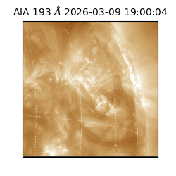 saia - 2026-03-09T19:00:04.840000