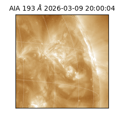 saia - 2026-03-09T20:00:04.840000