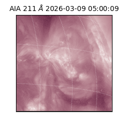 saia - 2026-03-09T05:00:09.620000