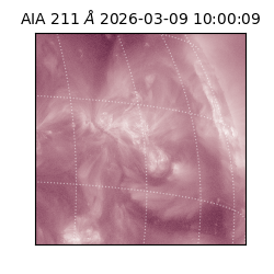 saia - 2026-03-09T10:00:09.620000