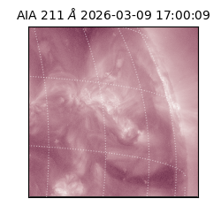 saia - 2026-03-09T17:00:09.620000