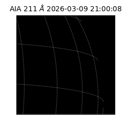 saia - 2026-03-09T21:00:08