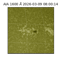 saia - 2026-03-09T08:00:14.120000