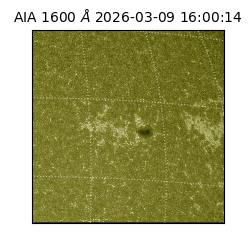 saia - 2026-03-09T16:00:14.120000