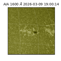 saia - 2026-03-09T19:00:14.130000