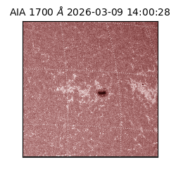 saia - 2026-03-09T14:00:28.450000