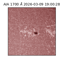 saia - 2026-03-09T19:00:28.450000