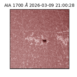 saia - 2026-03-09T21:00:28.450000