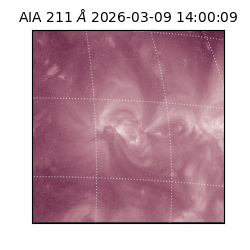 saia - 2026-03-09T14:00:09.620000