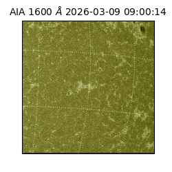 saia - 2026-03-09T09:00:14.120000