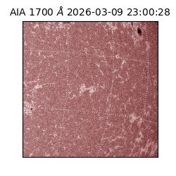 saia - 2026-03-09T23:00:28.450000