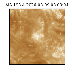 saia - 2026-03-09T03:00:04.840000