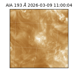 saia - 2026-03-09T11:00:04.840000