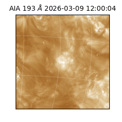 saia - 2026-03-09T12:00:04.840000