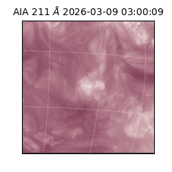 saia - 2026-03-09T03:00:09.620000