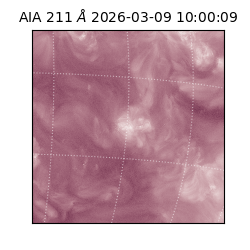 saia - 2026-03-09T10:00:09.620000